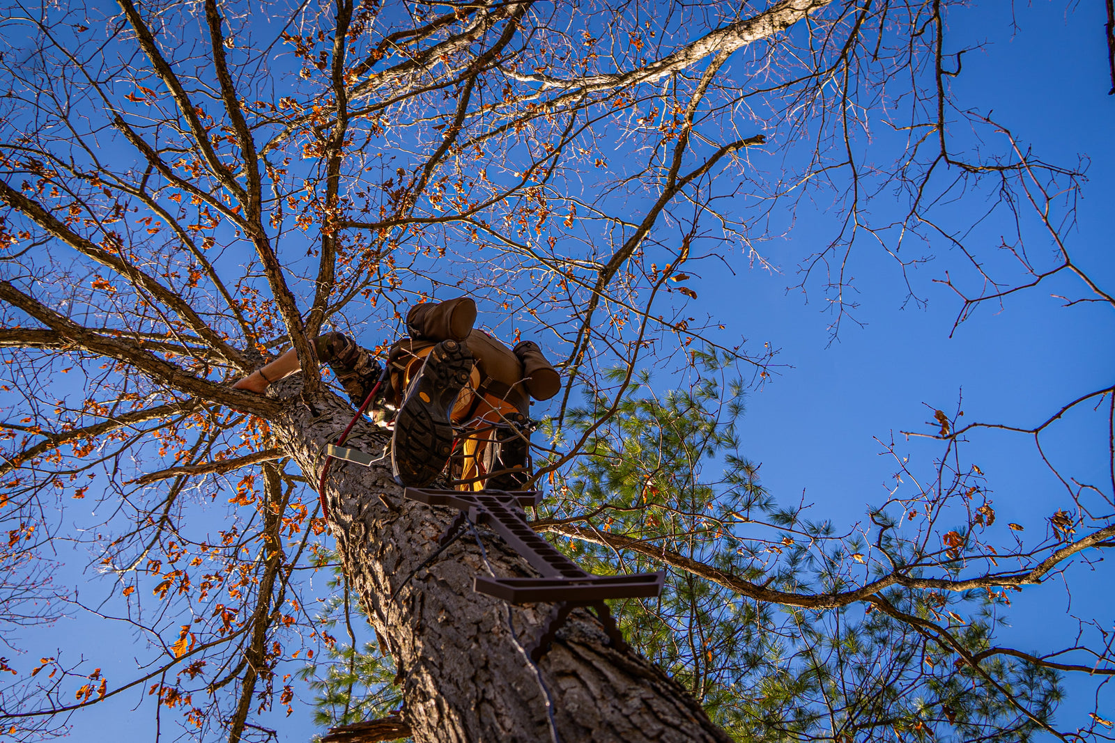 How to Saddle Hunt | The BASICS of What You NEED