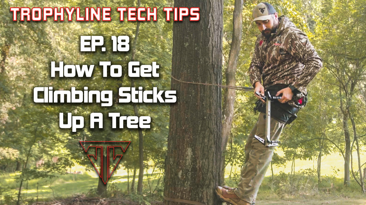 How To Get Climbing Sticks Up A Tree When Saddle Hunting