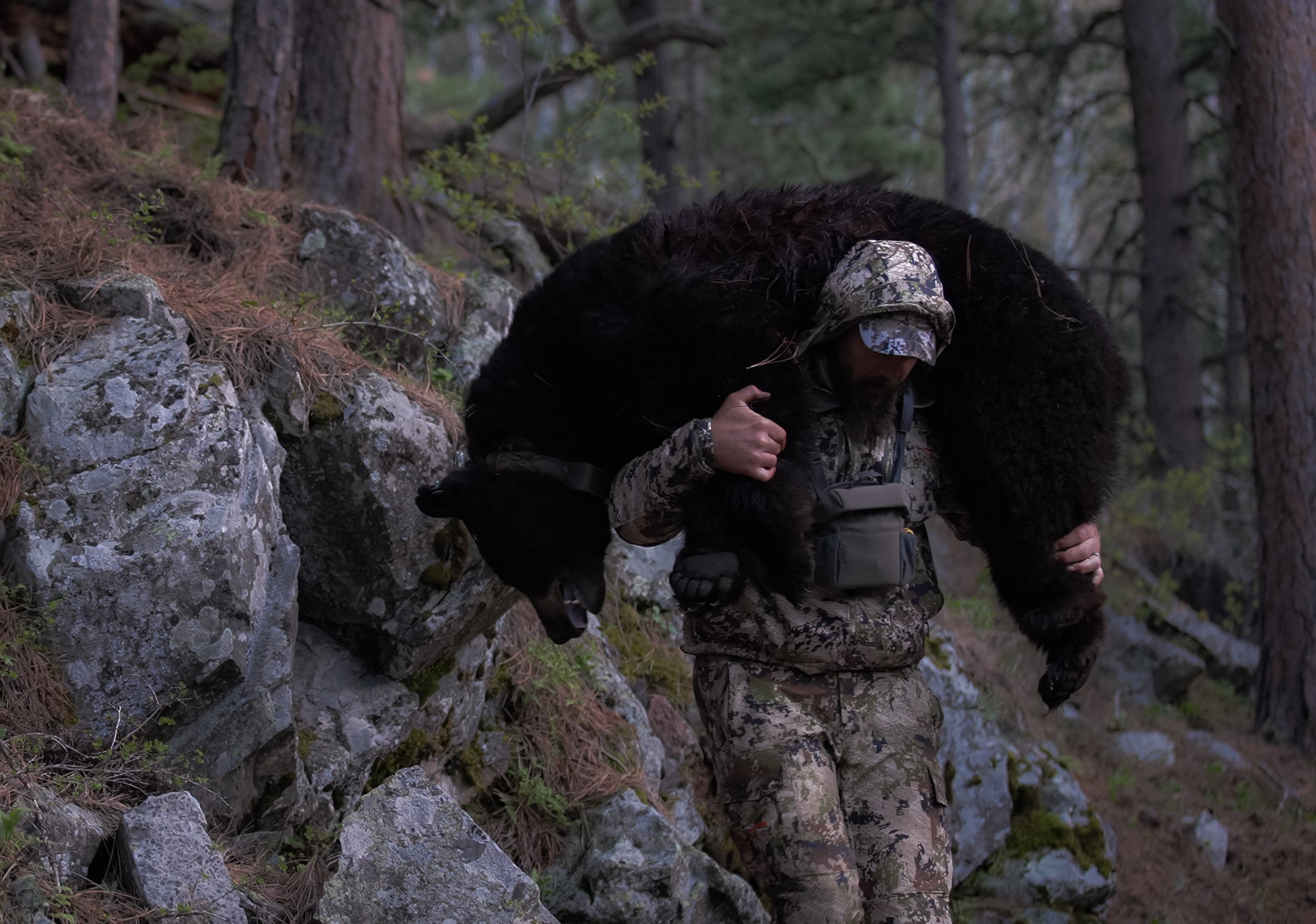 Wolfe Untamed X Trophyline - Film "On the Shoulders of a Giant"