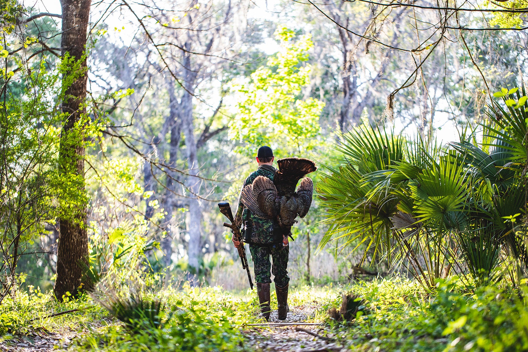 Swamp Birds - Florida Osceola Turkey Hunting