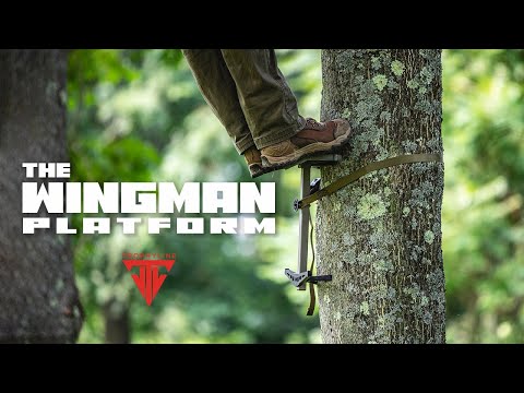 The Wingman Platform